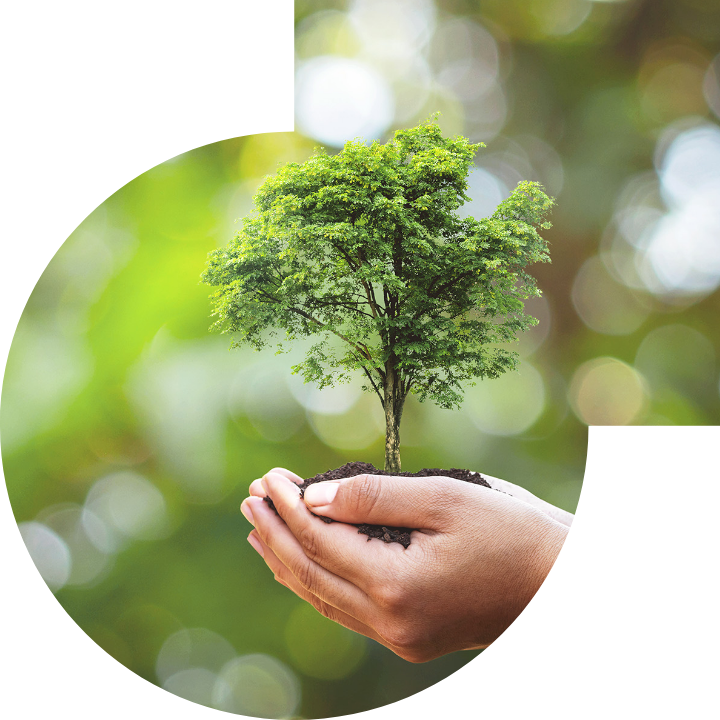 关怀人类、文化、环境与社会